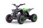 Elektrische ATV - Quad voor kinderen Beneo Motors T-REX Groente - 1300W